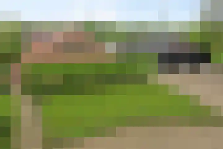 Ewinkel 7 Cuijk thumbnail 6