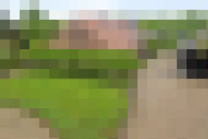 Ewinkel 7 Cuijk thumbnail 7
