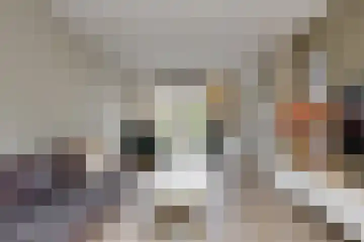 Ewislaan 21 Heiloo thumbnail 12