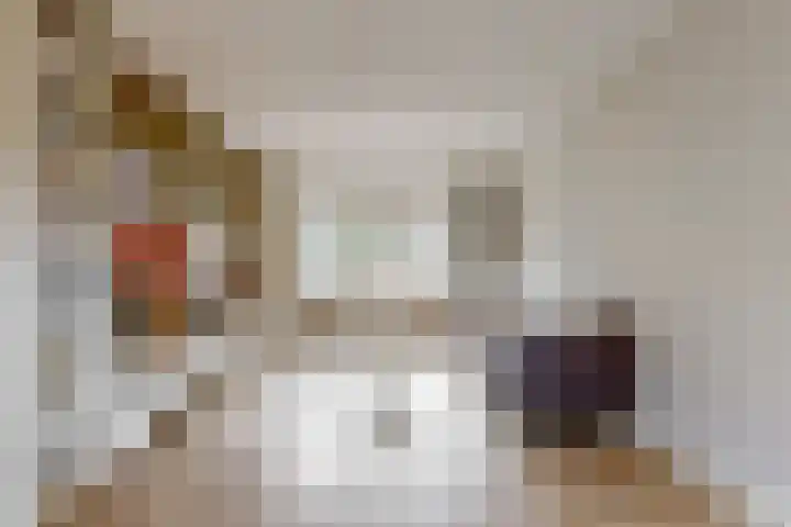 Ewislaan 21 Heiloo thumbnail 15