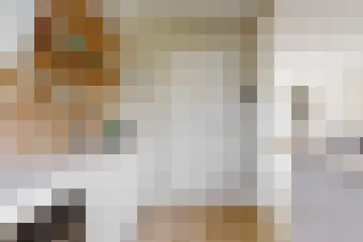 Ewislaan 21 Heiloo thumbnail 21