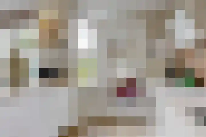 Ewislaan 21 Heiloo thumbnail 22
