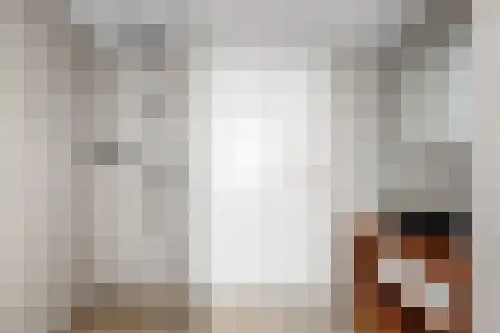 Ewislaan 21 Heiloo thumbnail 31