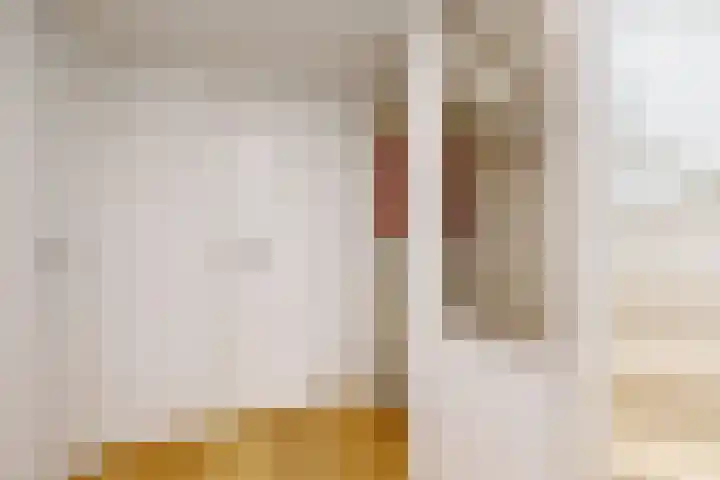 Ewislaan 21 Heiloo thumbnail 35