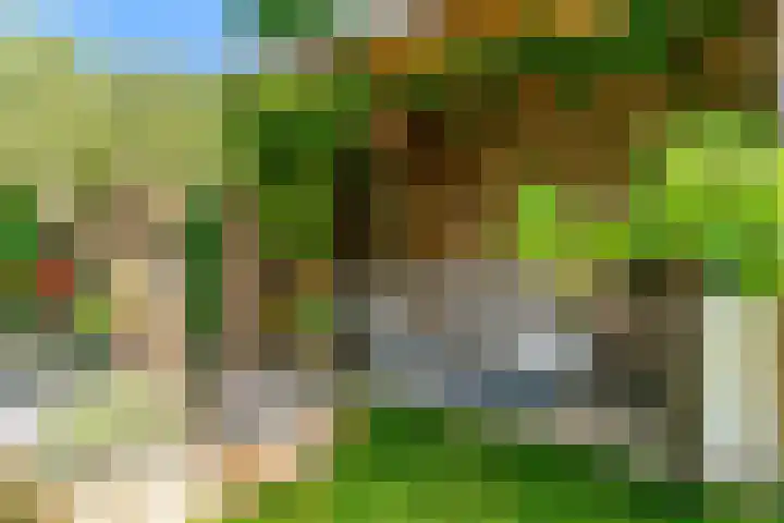 Ewislaan 21 Heiloo thumbnail 5