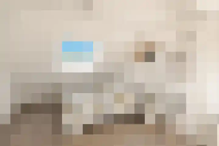 Ewisweg 56 Heiloo thumbnail 30