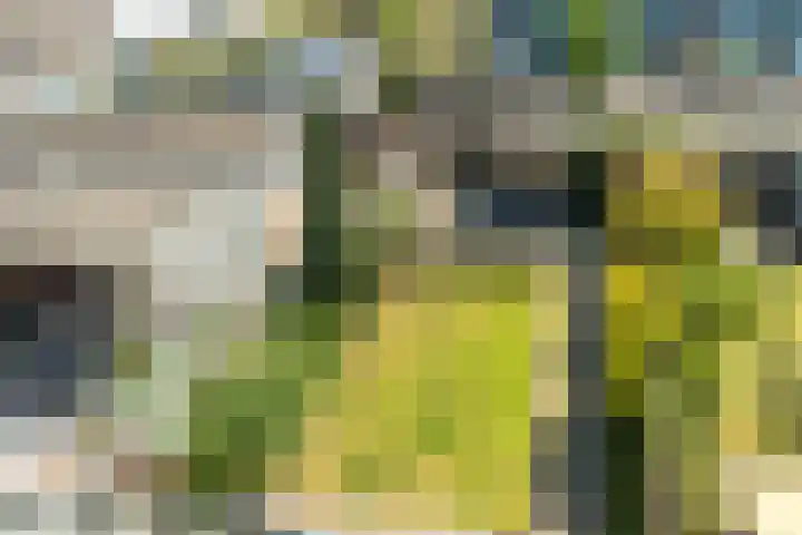 Ewisweg 56 Heiloo thumbnail 32