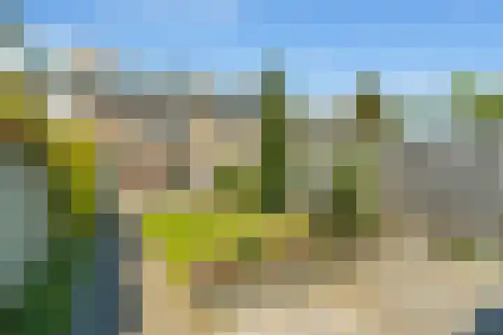 Ewisweg 56 Heiloo thumbnail 33