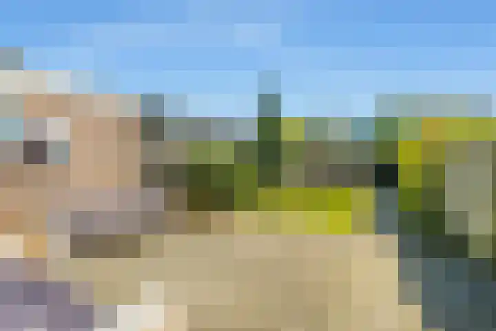 Ewisweg 56 Heiloo thumbnail 35
