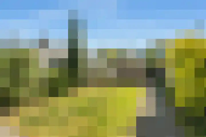 Ewisweg 56 Heiloo thumbnail 37