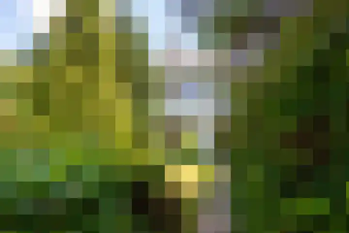 Ewisweg 68 Heiloo thumbnail 31