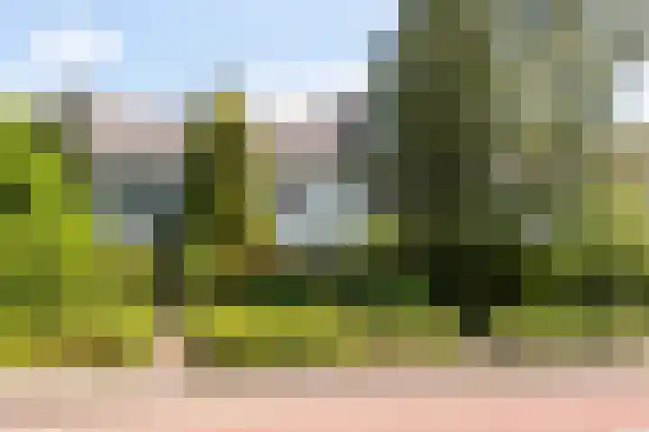 Ewisweg 68 Heiloo thumbnail 39