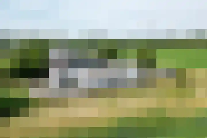 Ewoudsdam 20 dans Zevenbergschen Hoek