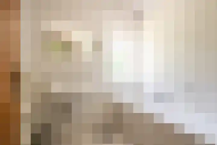 Exdel 19 Landgraaf thumbnail 17