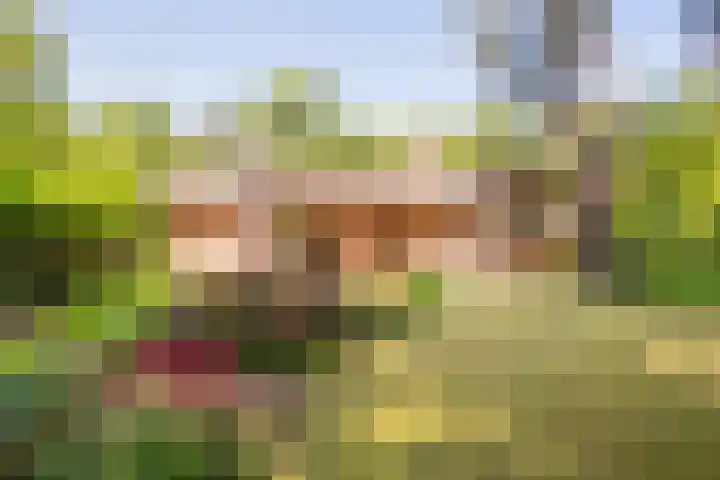 Exdel 19 Landgraaf thumbnail 22