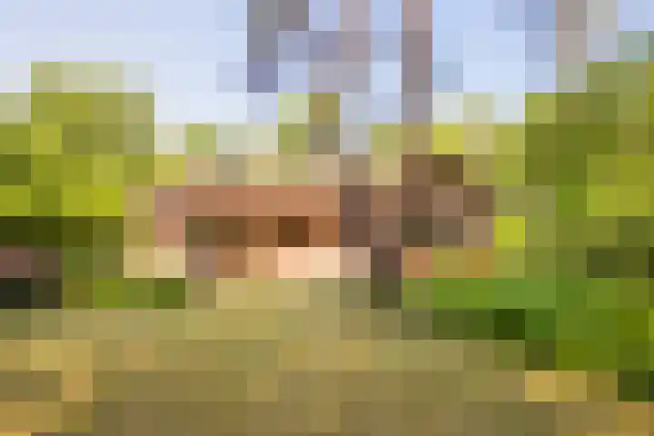 Exdel 19 Landgraaf thumbnail 23