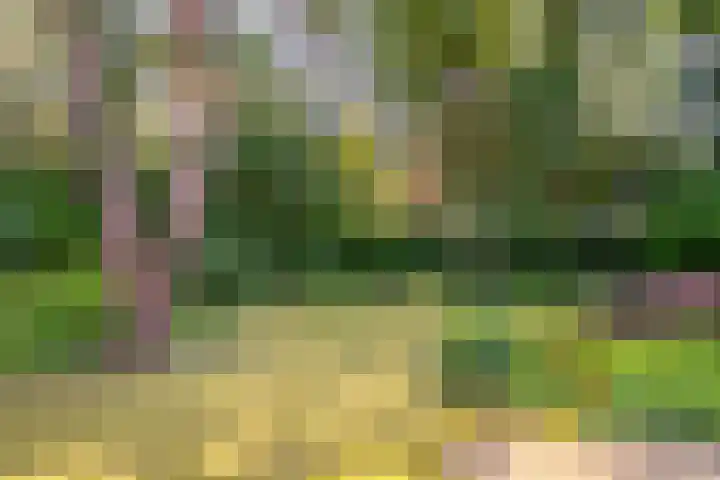 Exdel 19 Landgraaf thumbnail 25