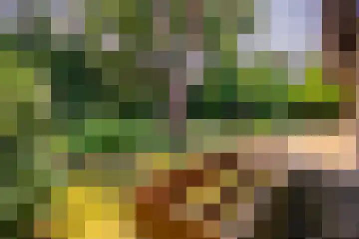 Exdel 19 Landgraaf thumbnail 28