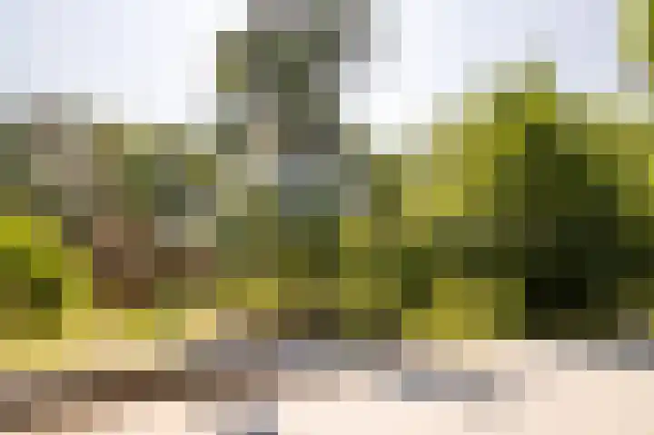 Exdel 19 Landgraaf thumbnail 29