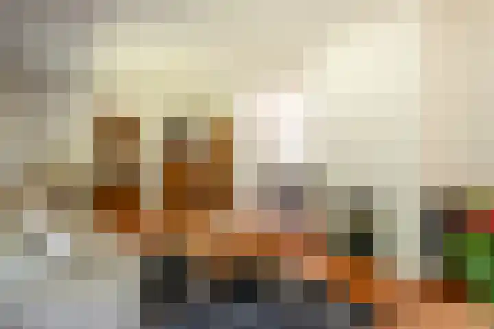 Exdel 19 Landgraaf thumbnail 7