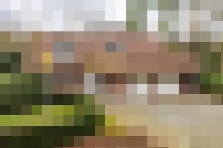 Exdel 38 Landgraaf thumbnail 4
