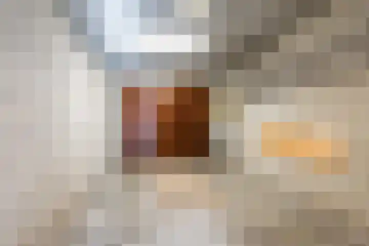 Exelsboom 2 Geleen thumbnail 16
