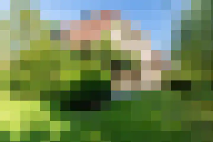 Exelsboom 2 Geleen thumbnail 19
