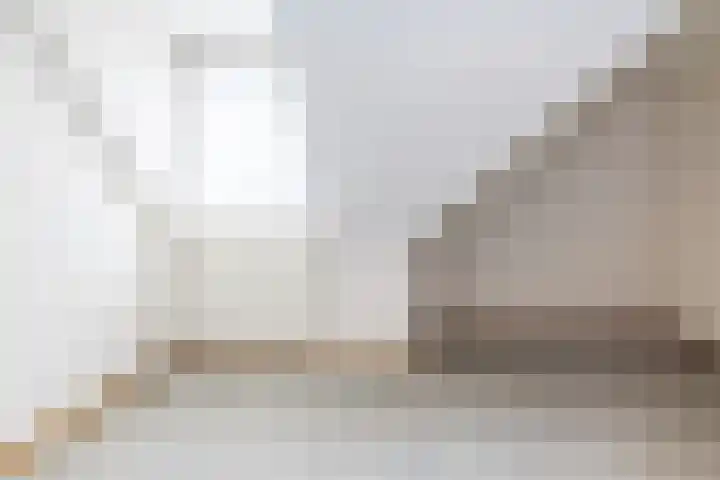 Exelsboom 2 Geleen thumbnail 28
