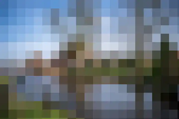 Exmorrazijl 8 Exmorra