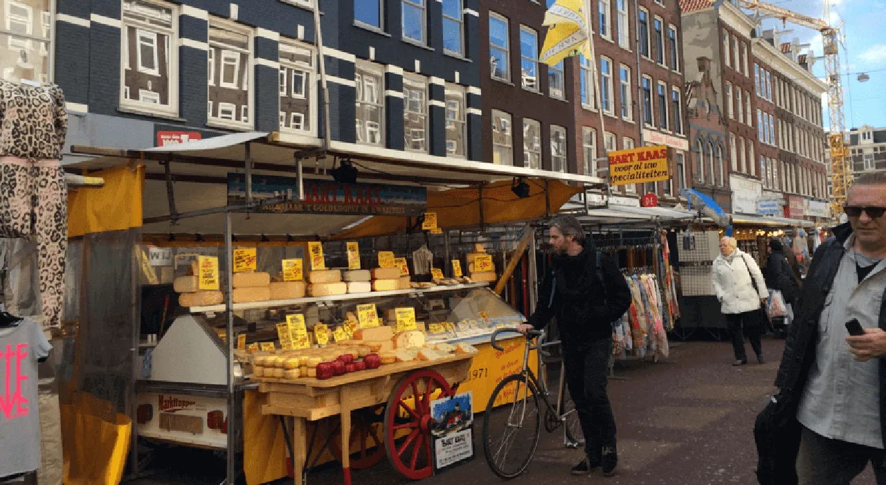 Team foto van Expat Estate Agency