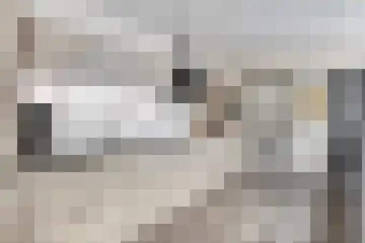 Logo Expats Amsterdam Rentals