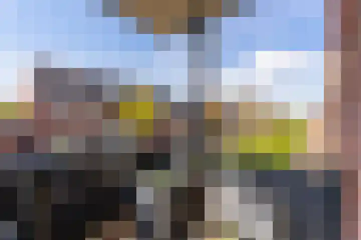 Eyckenstein 32 Vleuten thumbnail 26