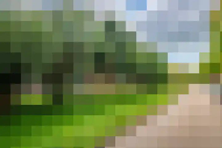Eyckenstein 44 Vleuten thumbnail 25