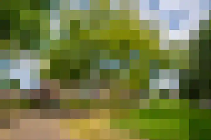 Eyckenstein 44 Vleuten thumbnail 26