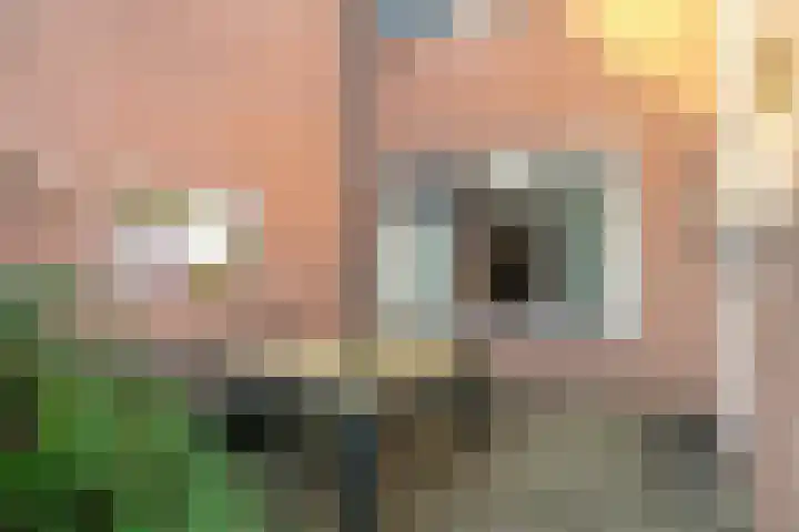 Eysingapad 41 Aldtsjerk thumbnail 26
