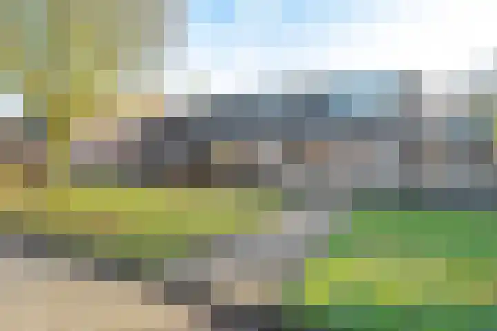 Eysingapad 41 Aldtsjerk thumbnail 33