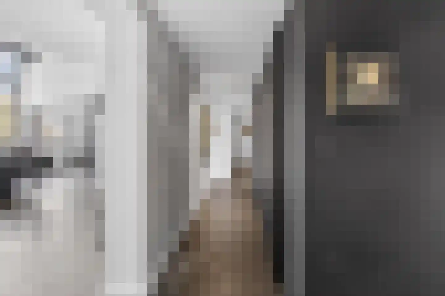 Eyssoniusstraat 11 Groningen thumbnail 19