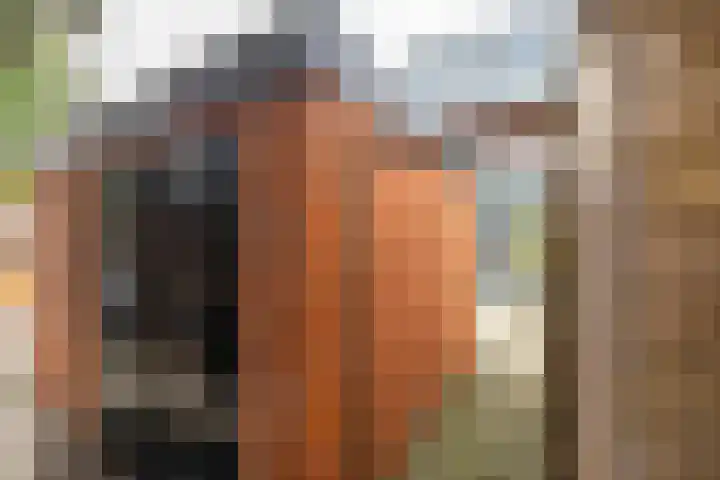 Eyssoniusstraat 11 Groningen thumbnail 47