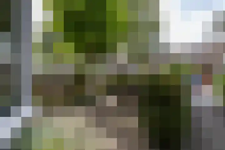 Eyssoniusstraat 11 Groningen thumbnail 5