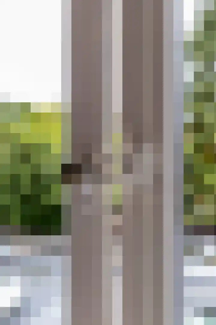 Eyssoniusstraat 11 Groningen thumbnail 63