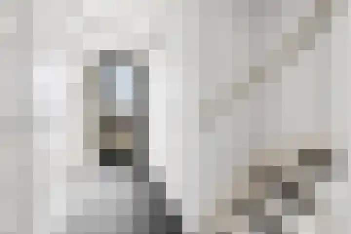 Eyssoniusstraat 11 Groningen thumbnail 65