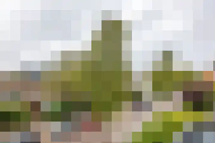 Eyssoniusstraat 11 Groningen thumbnail 72