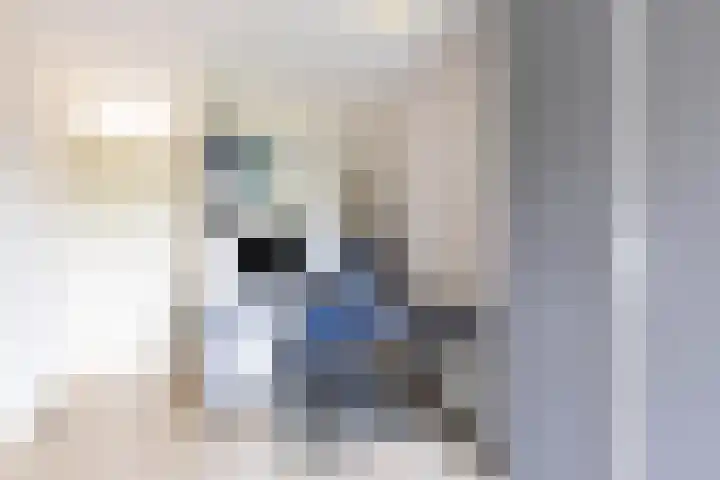 F. Leggerstraat 32 Groningen thumbnail 22