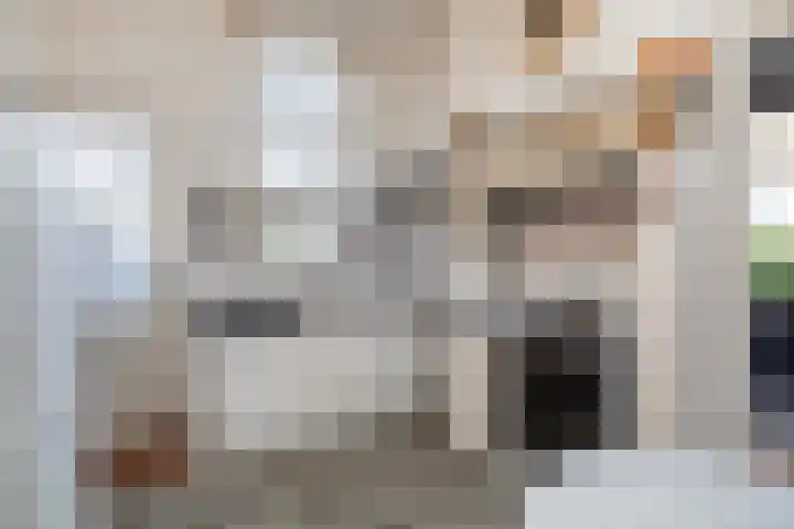 Faas Eliaslaan 6 Baarn thumbnail 22