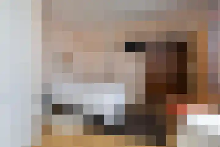 Faas Eliaslaan 6 Baarn thumbnail 26