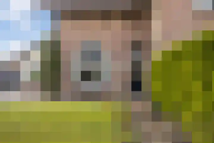 Faas Eliaslaan 6 Baarn thumbnail 7