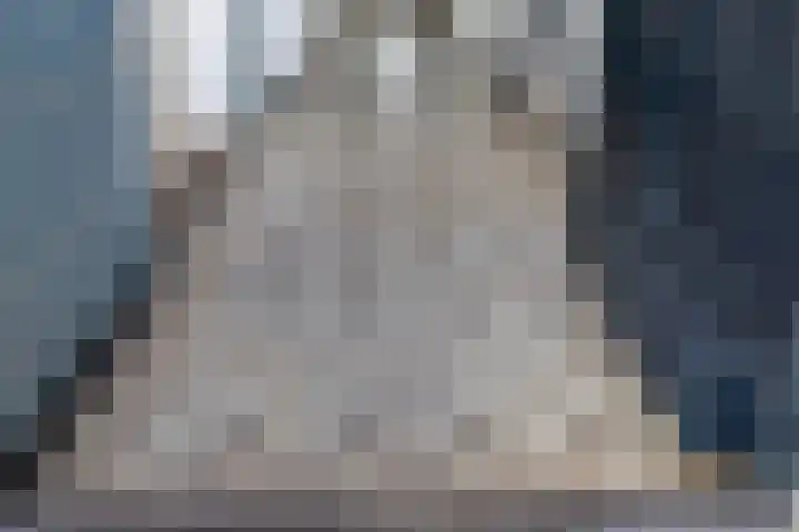 Faas Eliaslaan 6 Baarn thumbnail 9