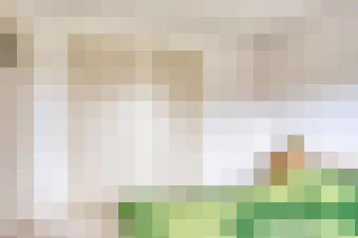 Fabiusstraat 5 Heino thumbnail 24