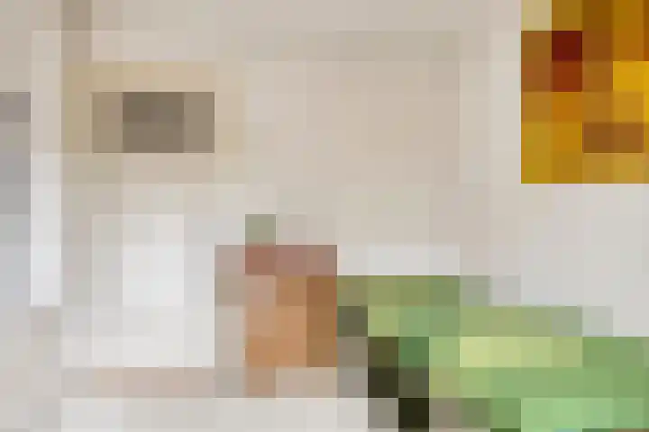 Fabiusstraat 5 Heino thumbnail 28