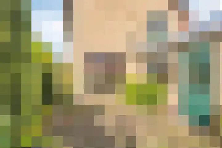 Fabiusstraat 5 Heino thumbnail 33